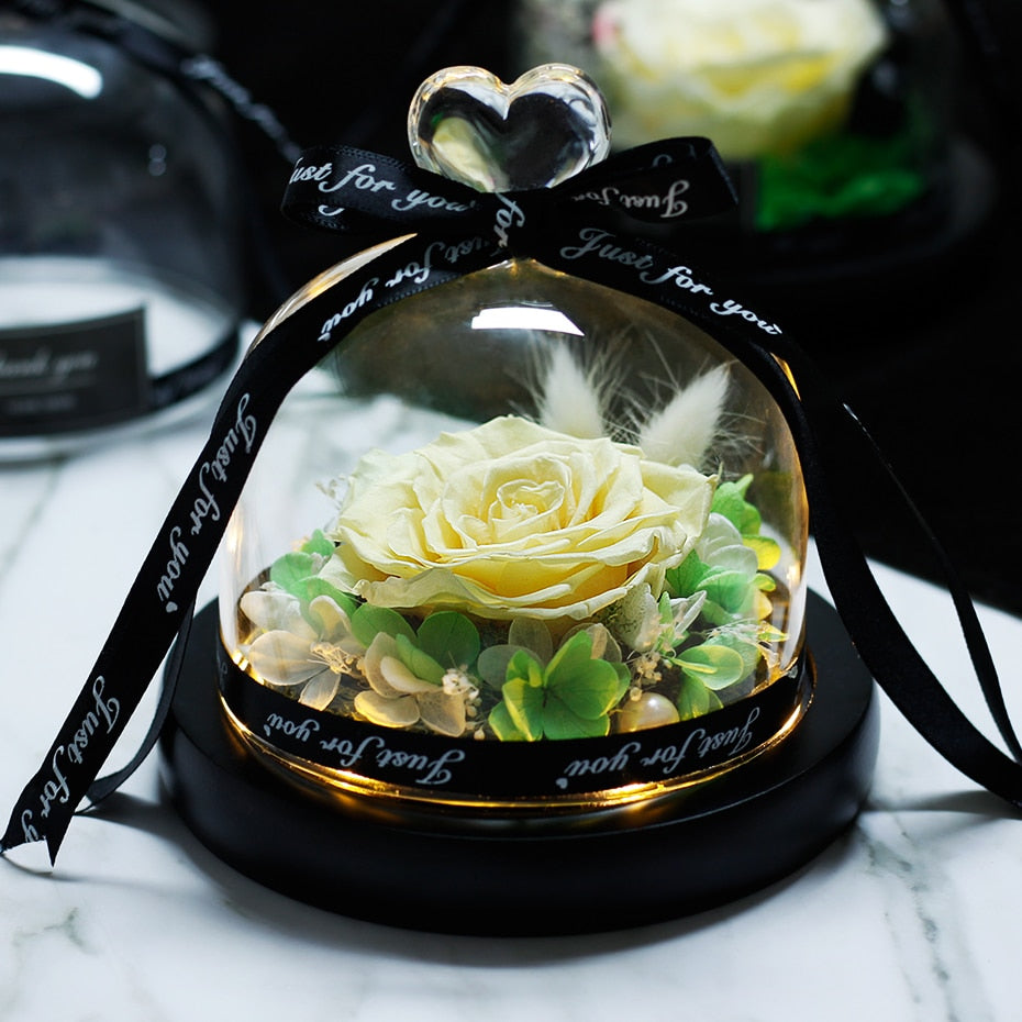 Forever Rose Flower In Flask LED Glass Dome Valentines Day Gift