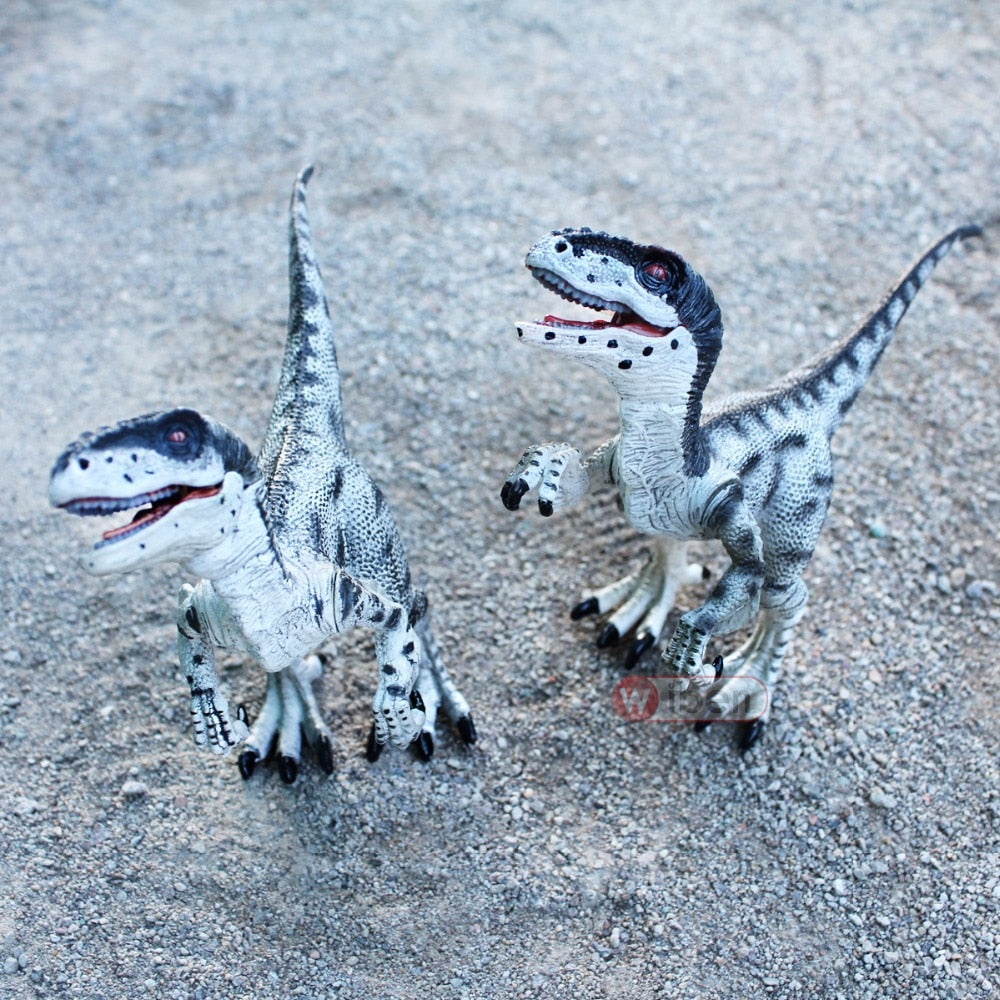 Tyrannosaurus Rex and Velociraptor Dinosaur Model Figures Toys
