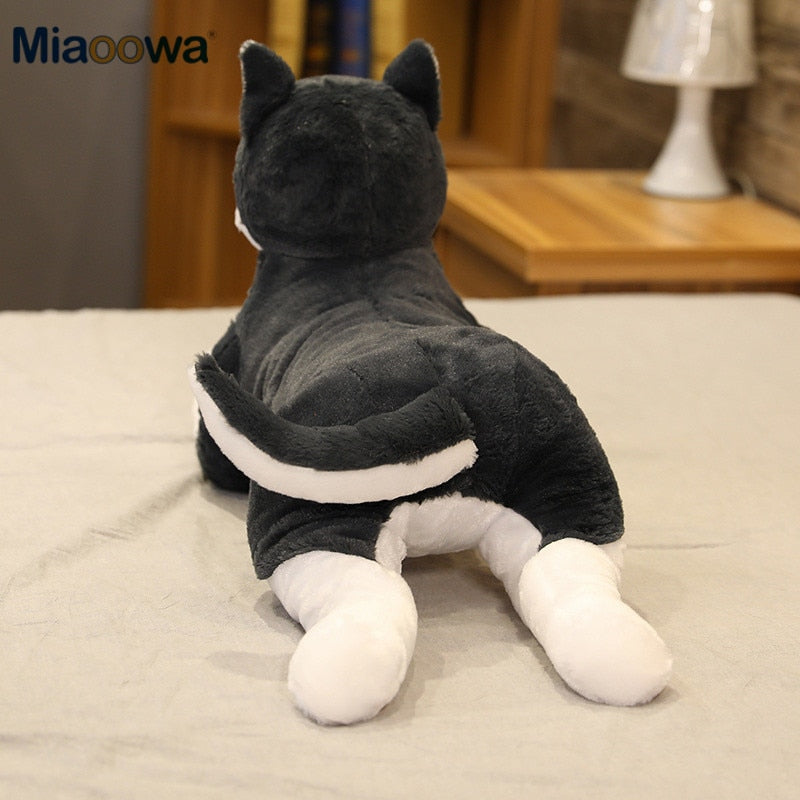 Lifelike Siberian Husky Dog Large Size Plush Stuffed Toy Doll