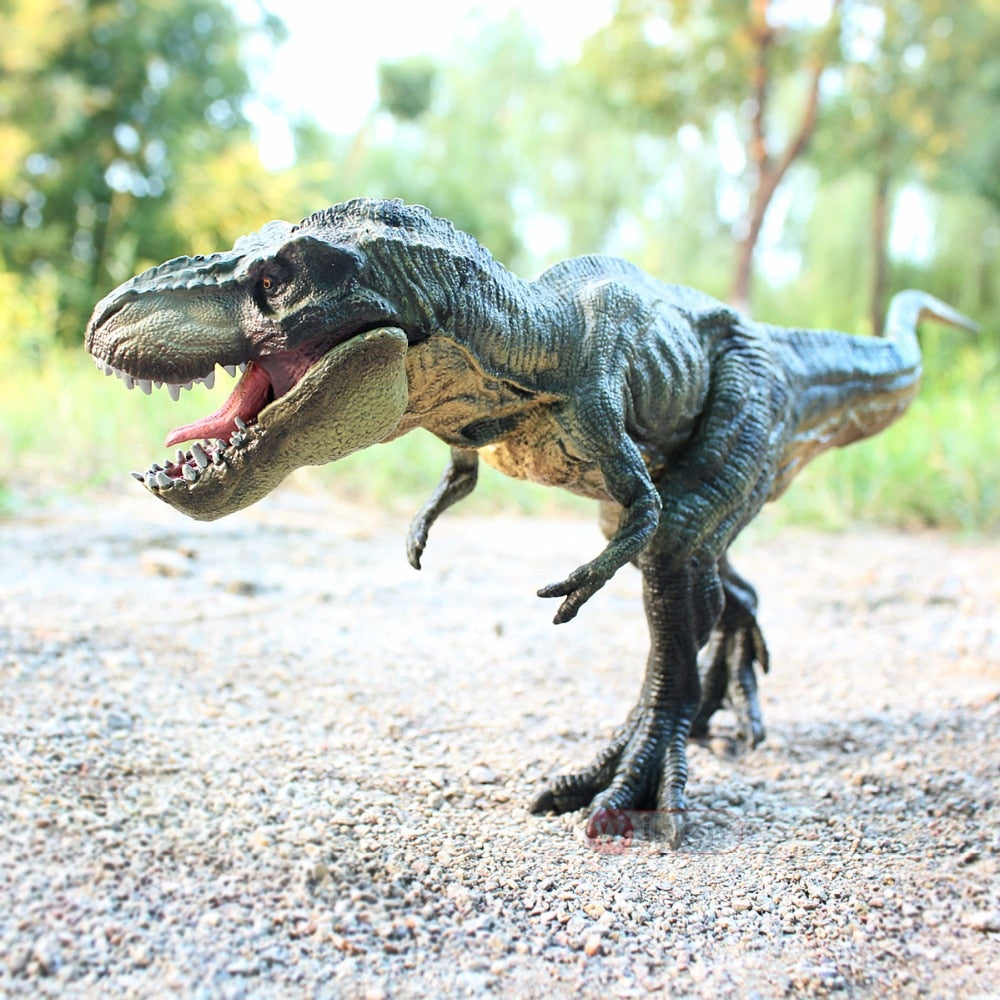 Tyrannosaurus Rex and Velociraptor Dinosaur Model Figures Toys