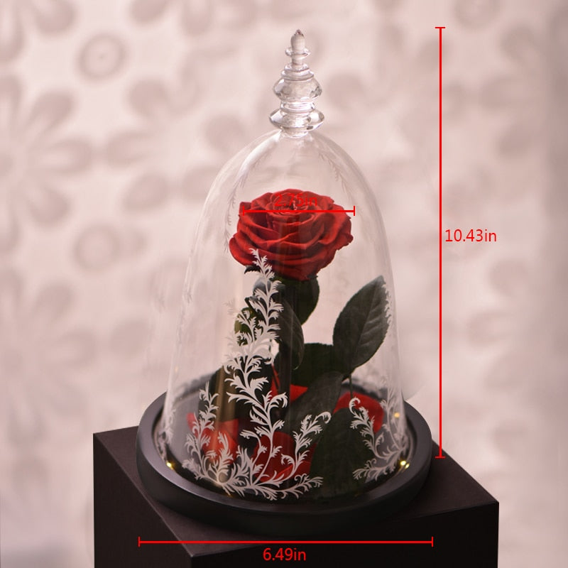 Beauty and the Beast Enchanted Rose Eternal Red Rose Flower In Glass Dome with LED Light Lamp