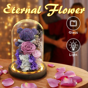 Teddy Bear Rose in Glass Dome with LED Light Valentine Gft for Her