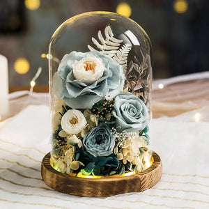 Eternal Preserved Rose in Glass Dome with LED Light Gft for Her