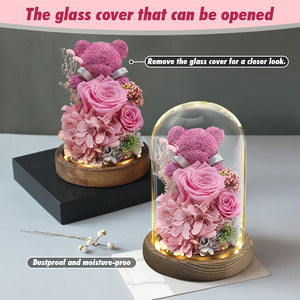 Teddy Bear Rose in Glass Dome with LED Light Valentine Gft for Her