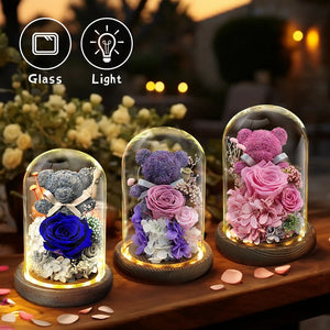 Teddy Bear Rose in Glass Dome with LED Light Valentine Gft for Her