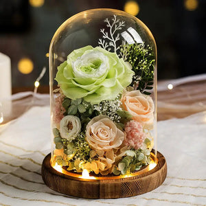 Eternal Preserved Rose in Glass Dome with LED Light Gft for Her