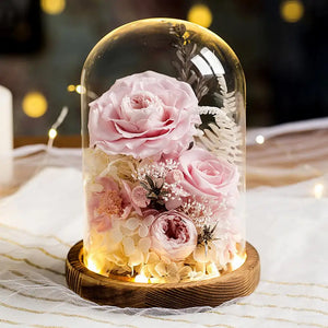 Eternal Preserved Rose in Glass Dome with LED Light Gft for Her