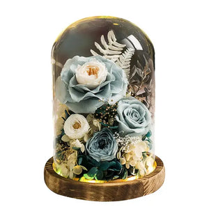 Eternal Preserved Rose in Glass Dome with LED Light Gft for Her