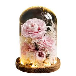 Eternal Preserved Rose in Glass Dome with LED Light Gft for Her