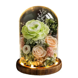 Eternal Preserved Rose in Glass Dome with LED Light Gft for Her