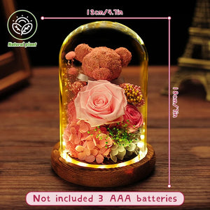 Teddy Bear Rose in Glass Dome with LED Light Valentine Gft for Her