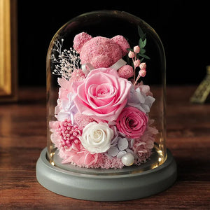 Teddy Bear Rose in Glass Dome with LED Light Valentine Gft for Her