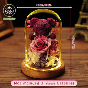 Teddy Bear Rose in Glass Dome with LED Light Valentine Gft for Her