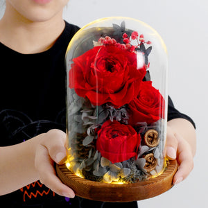 Natural Dried Flowers LED Light In Glass Dome Valentines Day Gift