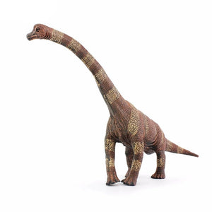 Simulation  Brachiosaurus Dinosaur Action Figure Model Toy