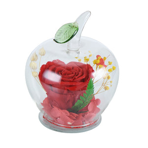 Immortal Rose Flowers In Apple Glass Dome Gift for Girls