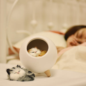 Cute Sleeping Cat LED Night Light Desk Lamp Decor