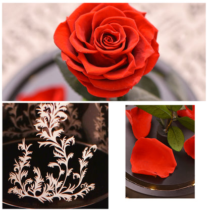 Beauty and the Beast Enchanted Rose Eternal Red Rose Flower In Glass Dome with LED Light Lamp