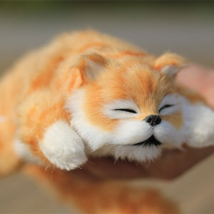 Cute Cat Electric Singing And Dancing Doll Gift for Kids