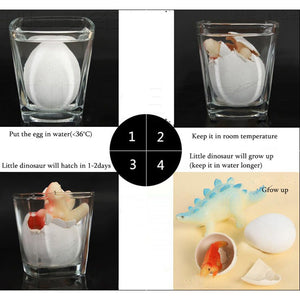 Magic Hatching Growing Hatching Dinosaur 10pcs/set Add Water Grow Eggs