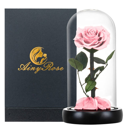 Eternal Roses Flower In A Glass Dome Valentine Christmas Gift