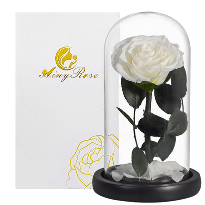 Eternal Roses Flower In A Glass Dome Valentine Christmas Gift
