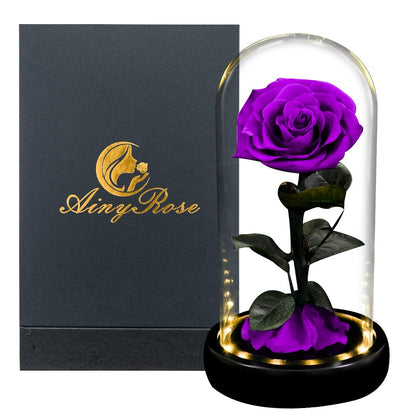 Eternal Roses Flower In A Glass Dome Valentine Christmas Gift