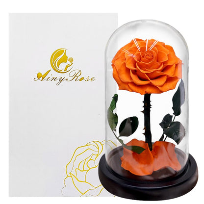 Eternal Roses Flower In A Glass Dome Valentine Christmas Gift