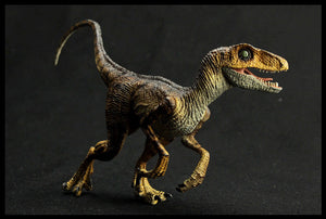 Realistic Velociraptor Antirrhopus Dinosaur PVC Action Model Figure Toy