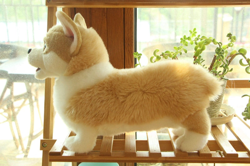 Simulation Corgi Short Legs Dog 32cm Plush Stuffed Doll Toys - MsHormony