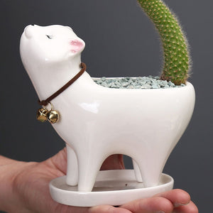 Cute Cat Flower Cactus Plant Bonsai Ceramic Pot With Base Table Decor