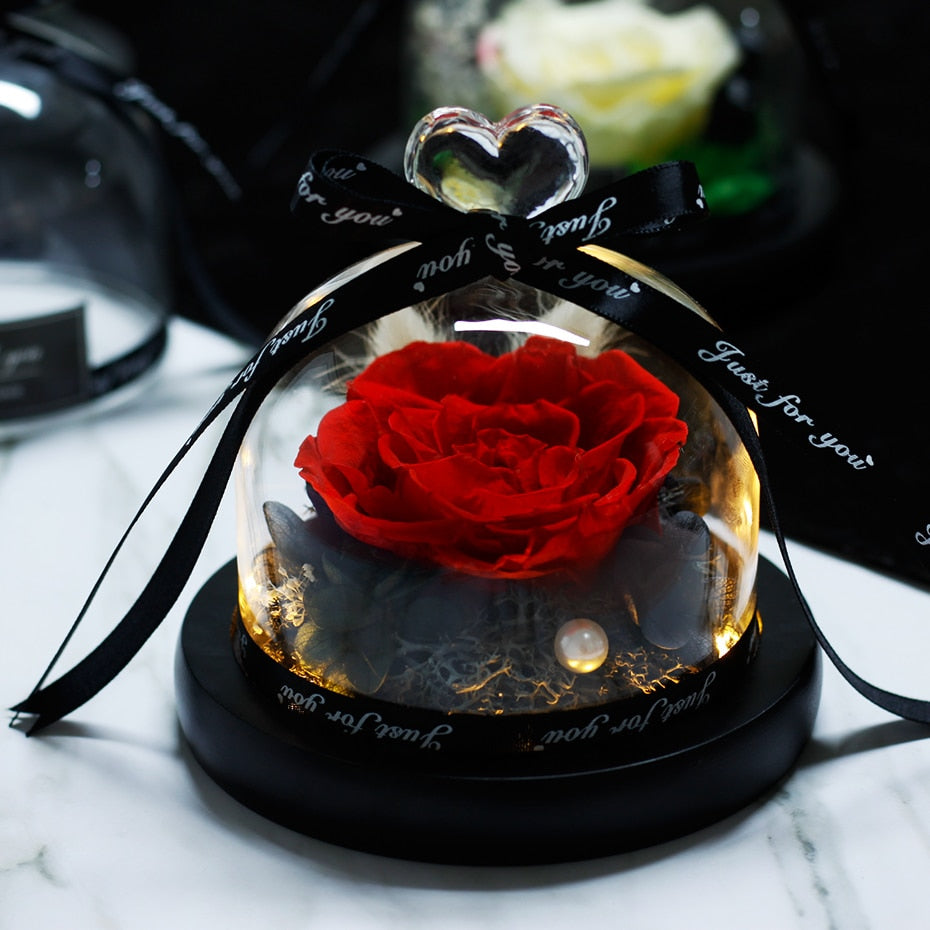 Forever Rose Flower In Flask LED Glass Dome Valentines Day Gift