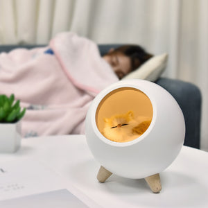 Cute Sleeping Cat LED Night Light Desk Lamp Decor