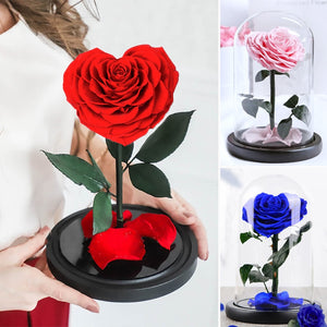 Heart Shaped Preserved Rose Artificial Flower In A Glass Dome Valentine Christmas Gift