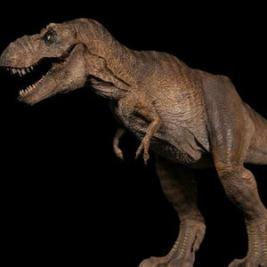 Realistic Tyrannosaurus Rex Dinosaurs Collection 1/35 Model Figure