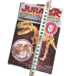 Dinosaur Skeleton Fossil Model Figures Educational Toy