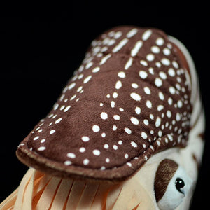 Lifelike Chambered Nautilus Plush Stuffed Doll Toy Gifts