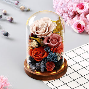 Luxuary Vintage Dried Rose Flowers with LED Light in Glass Dome Valentine's Day Wedding Gift