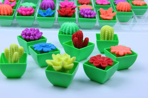 Magic Cactus Plant Flowers Dinosaur Eggs Growing In Water Soaking Expansion Hatching Toy