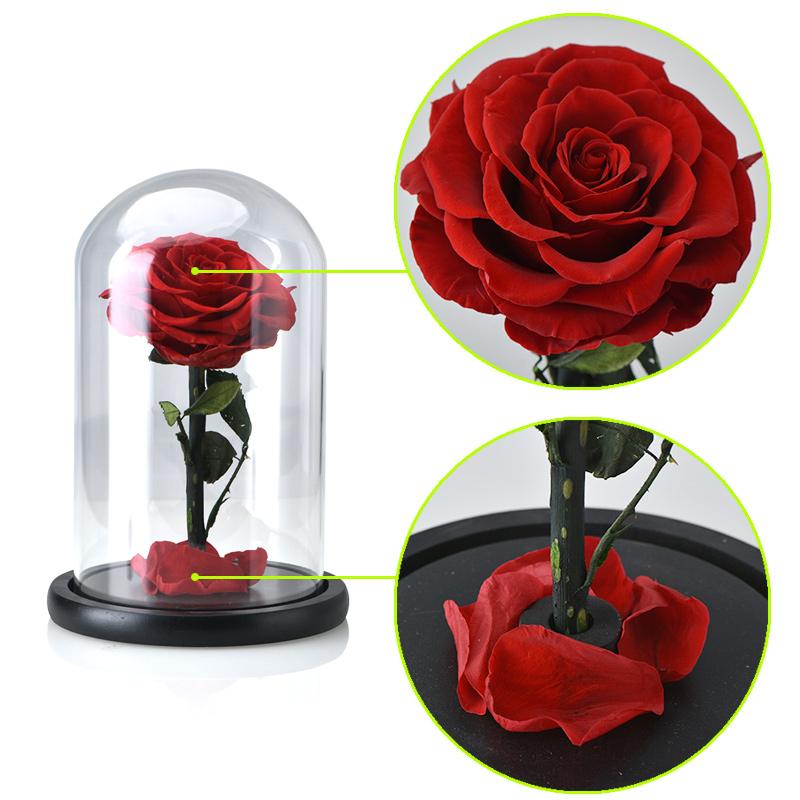 Seasonal & Holiday Decorations - Eternal Roses Flower In A Glass Dome Valentine Christmas Gift