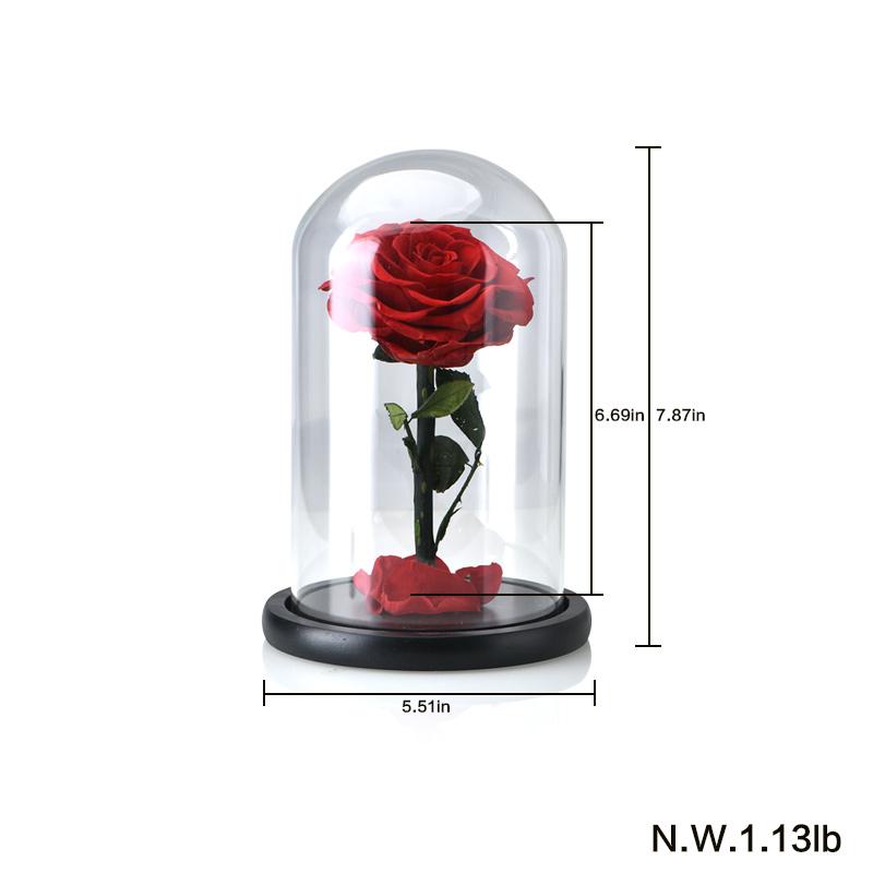 Seasonal & Holiday Decorations - Eternal Roses Flower In A Glass Dome Valentine Christmas Gift