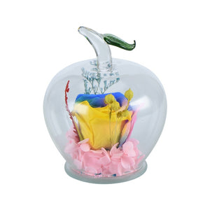 Immortal Rose Flowers In Apple Glass Dome Gift for Girls