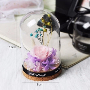 Teddy Bear Rose Flowers In Glass Dome Home Decoration Gifts