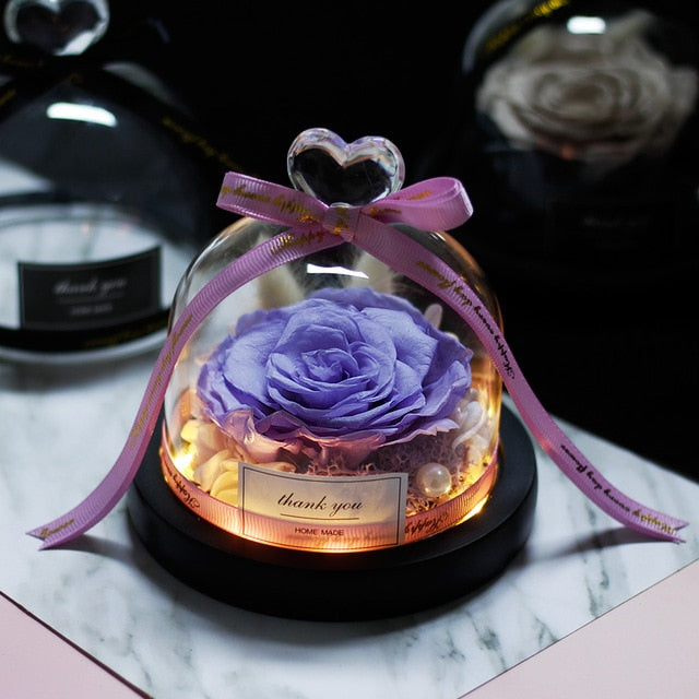 Forever Rose Flower In Flask LED Glass Dome Valentines Day Gift