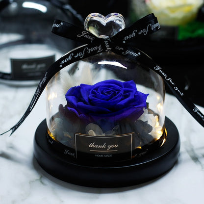 Forever Rose Flower In Flask LED Glass Dome Valentines Day Gift