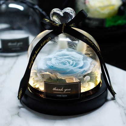 Forever Rose Flower In Flask LED Glass Dome Valentines Day Gift
