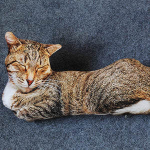 Lifelike Real 3D Cat Plush Stuffed Cushion Pillow Doll