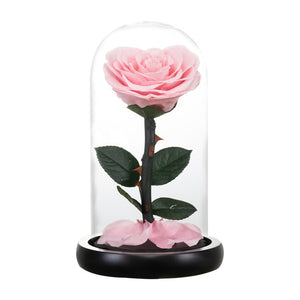 Heart Shaped Preserved Rose Artificial Flower In A Glass Dome Valentine Christmas Gift