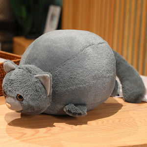 Cute Fatty Cat Round Shape 50cm Stuffed Plush Doll Toy