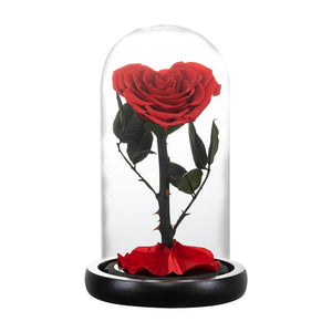 Heart Shaped Preserved Rose Artificial Flower In A Glass Dome Valentine Christmas Gift